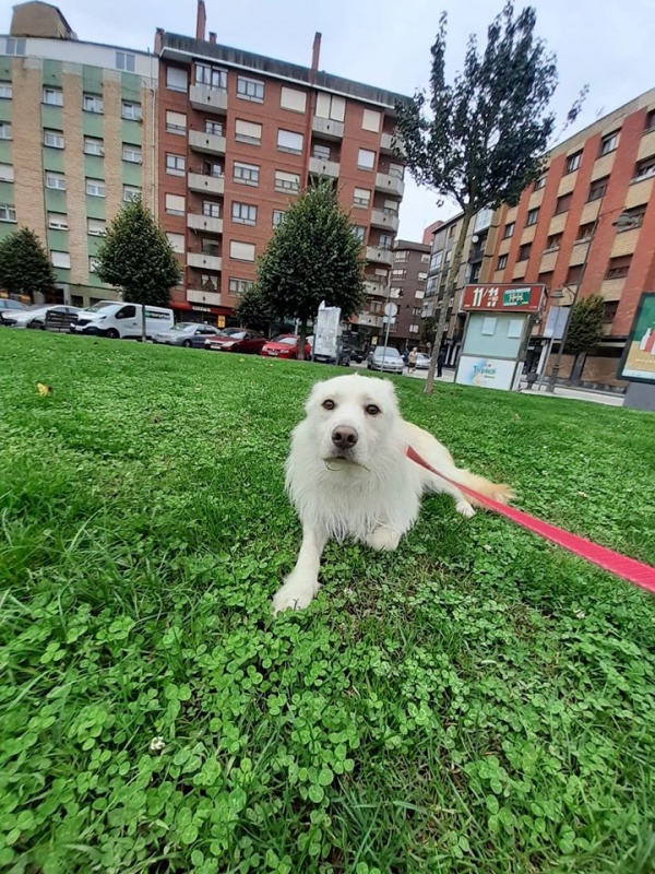 Foto Kiko