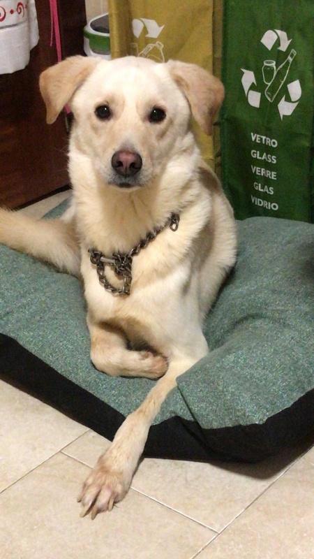 Foto Chico