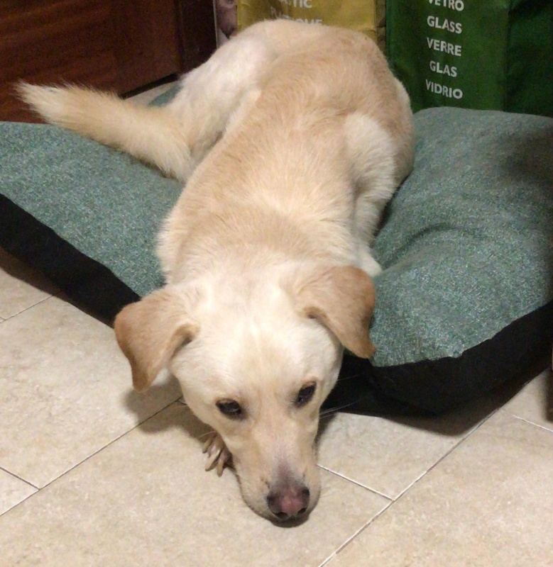 Foto Chico