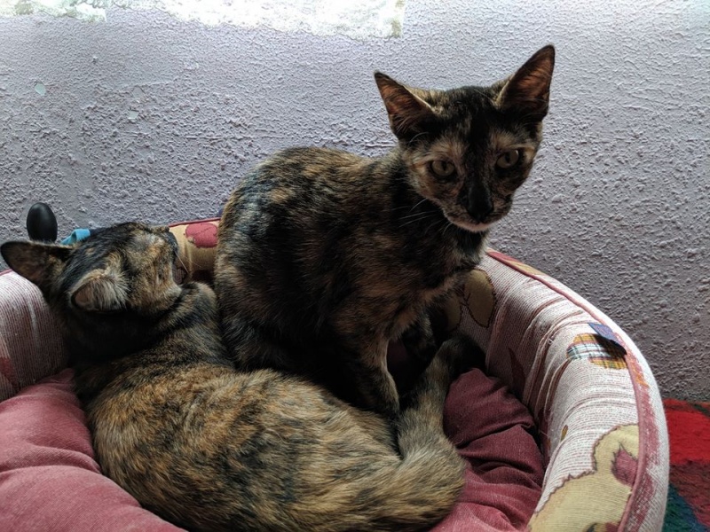 Foto Maxi y Mina