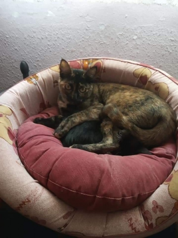 Foto Maxi y Mina