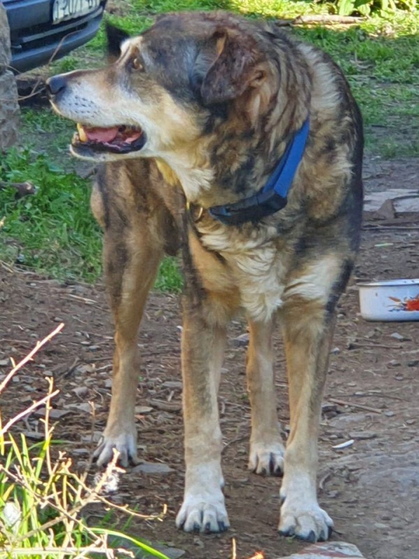 Foto Curro