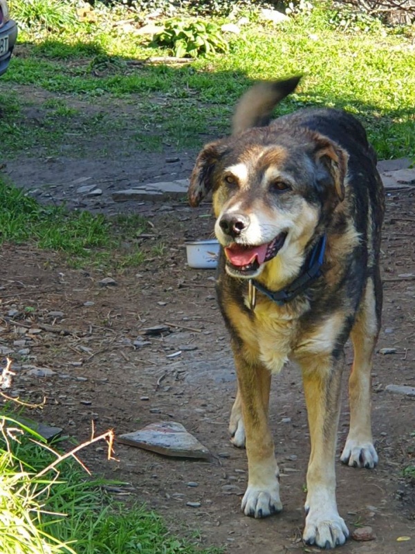 Foto Curro