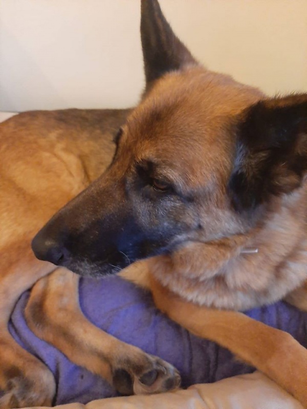 Foto Moka