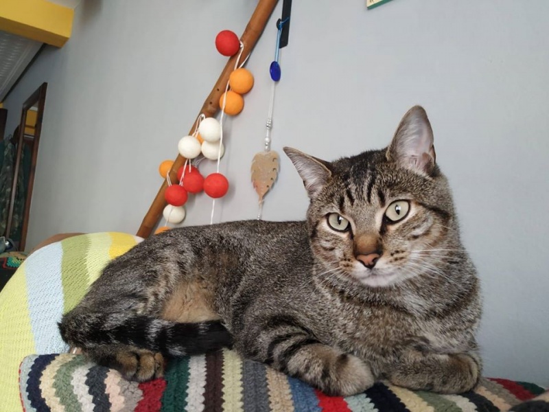 Foto Coco