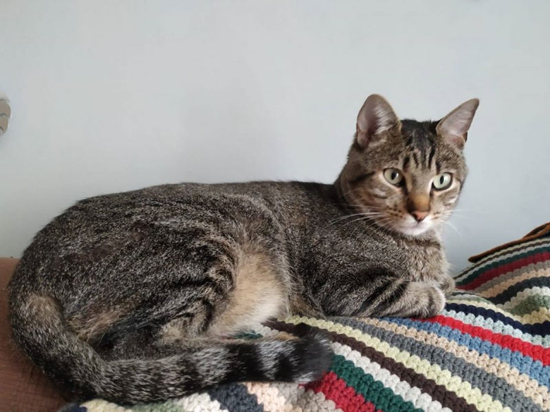Foto Coco