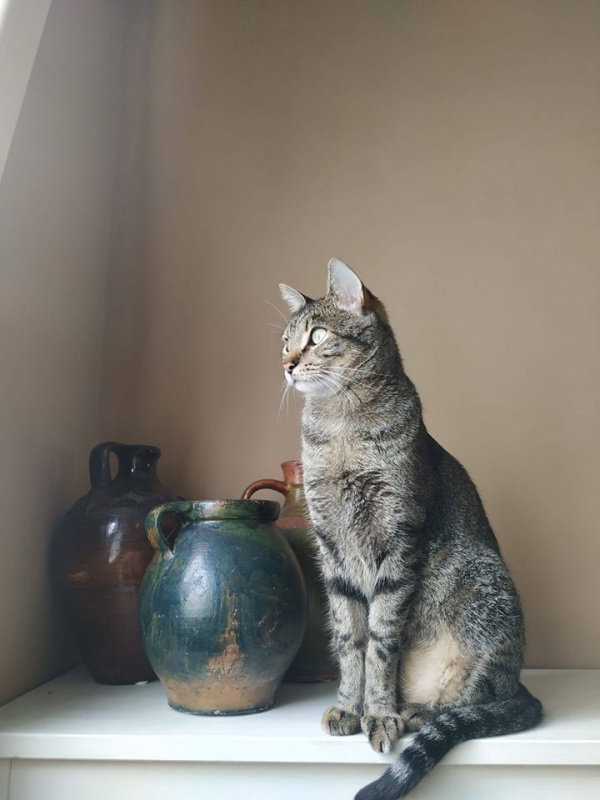 Foto Coco