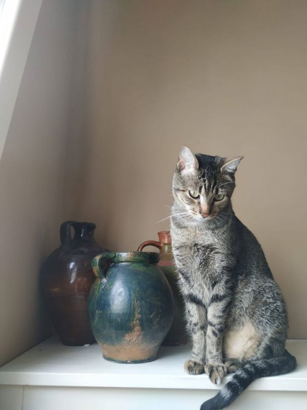 Foto Coco