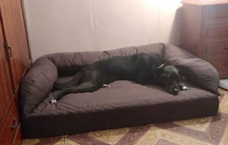 Foto Lorenza