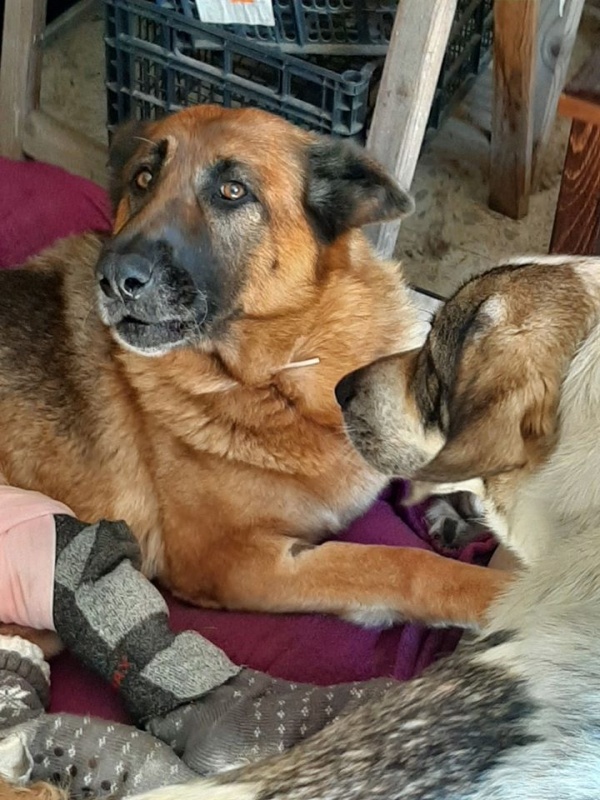 Foto Moka