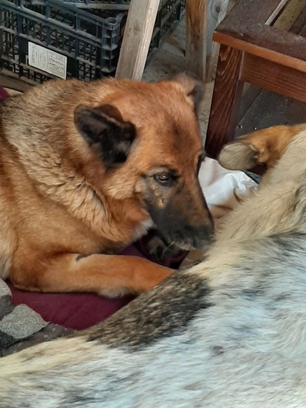 Foto Moka