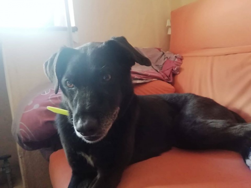 Foto Lorenza