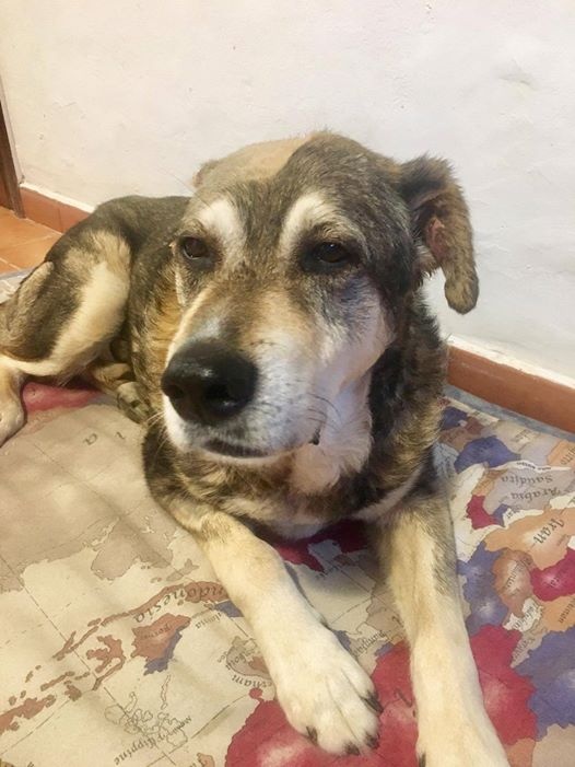 Foto Curro