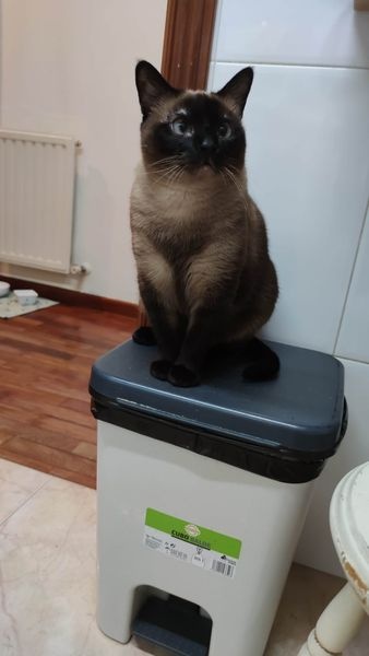 Foto Nina
