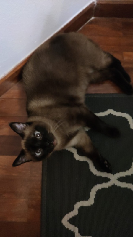 Foto Nina