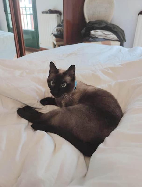 Foto Nina