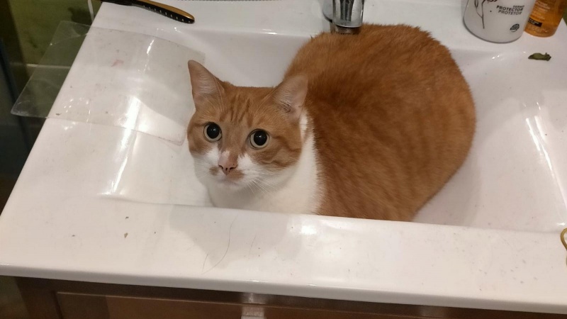 Foto Michi 