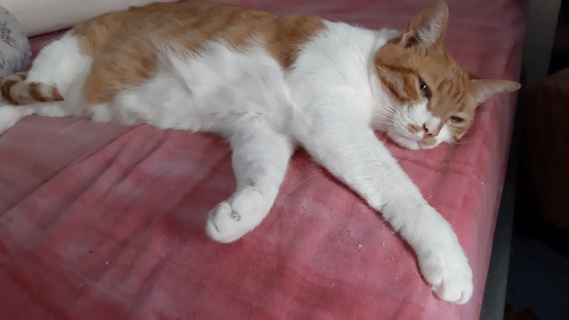 Foto Michi 