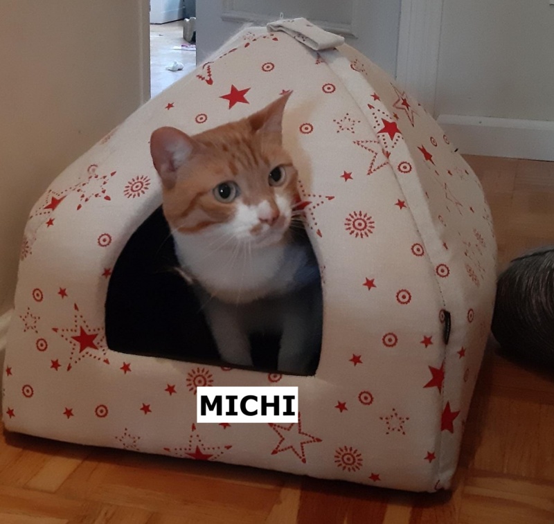 Foto Michi 