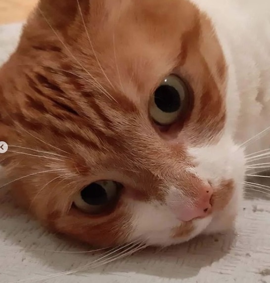 Foto Michi 