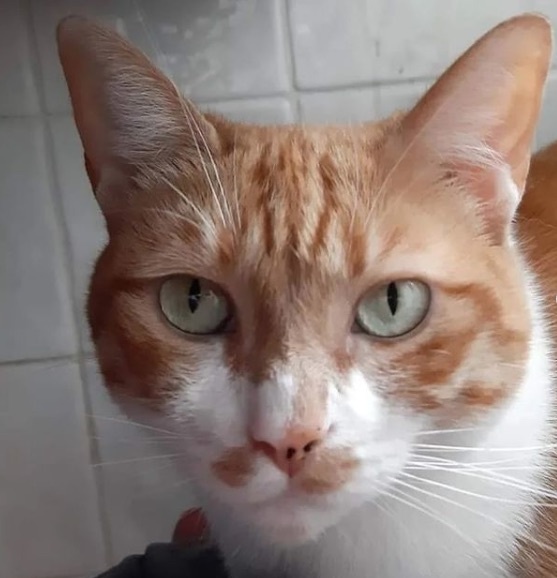 Foto Michi 