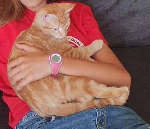 Foto Júpiter