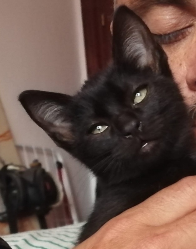 Foto Esperteyu