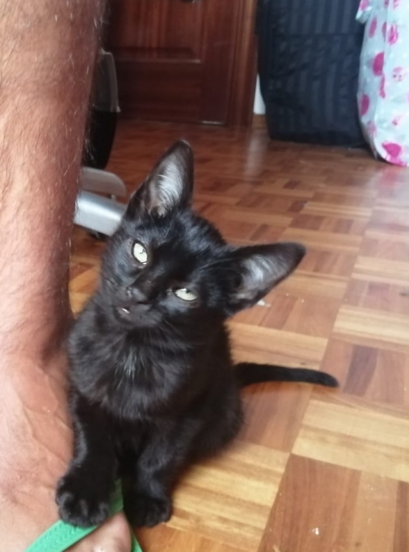 Foto Esperteyu