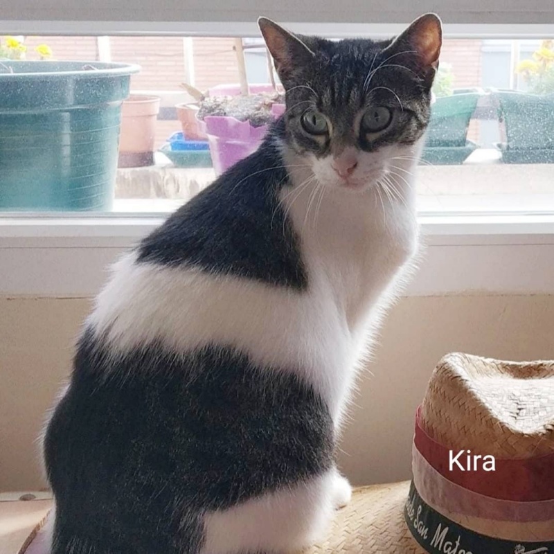 Foto Kira