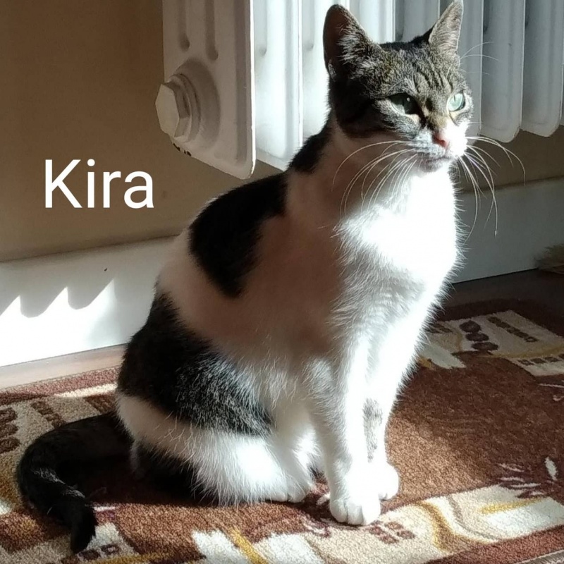 Foto Kira
