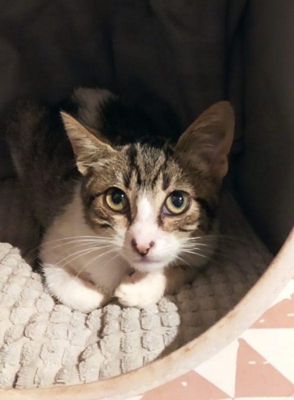 Foto Matilda