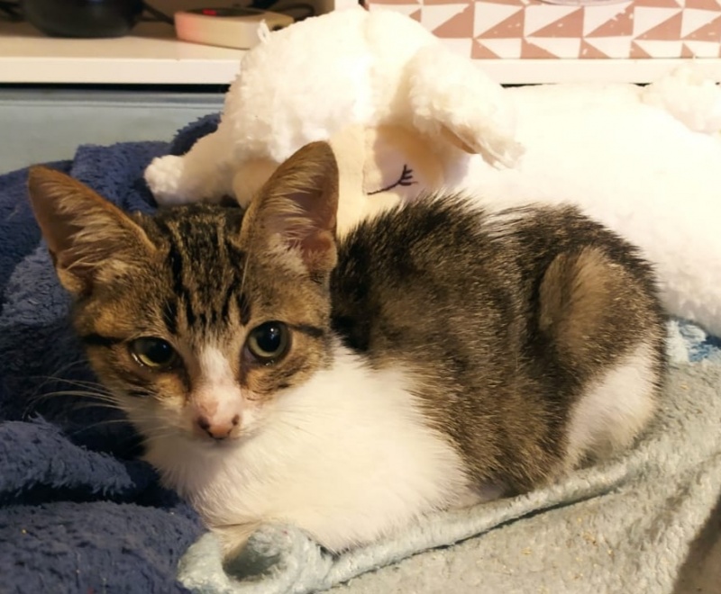 Foto Matilda