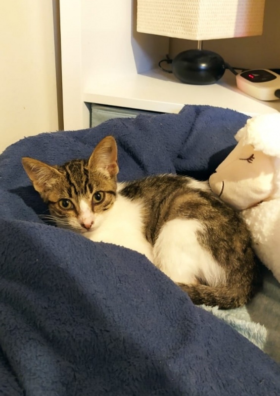 Foto Matilda