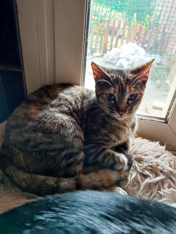 Foto Venus