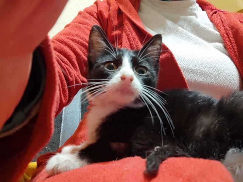 Foto Duna