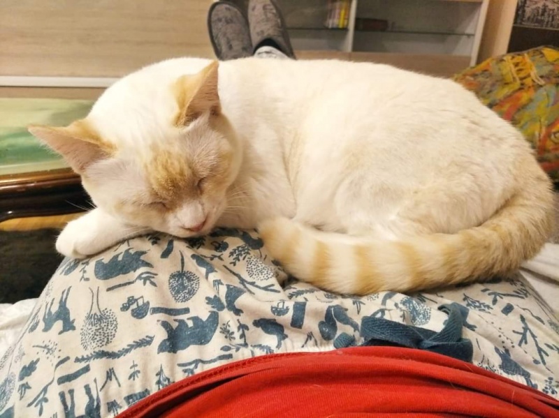 Foto Maza