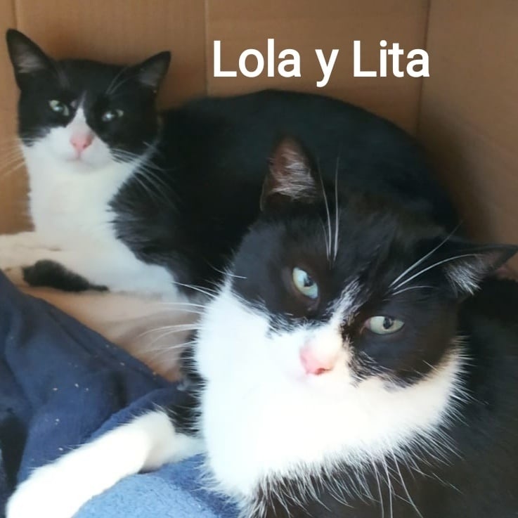 Foto Lola y Lita