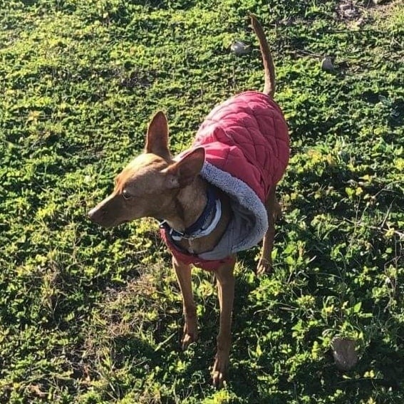 Foto Luna