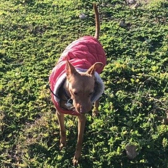 Foto Luna