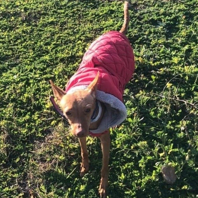 Foto Luna