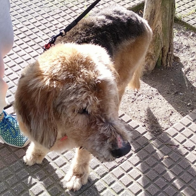 Foto Rolo