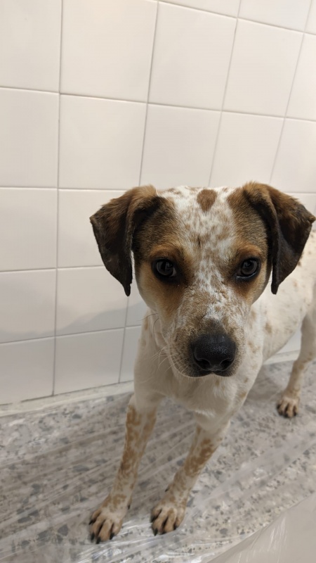 Foto Chico
