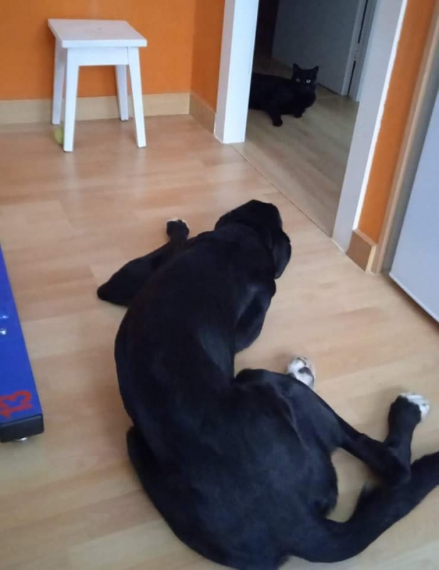 Foto Negri
