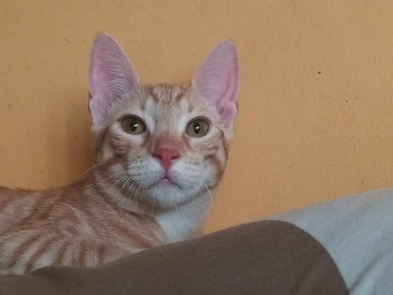 Foto Nimbo