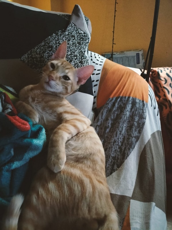 Foto Nimbo