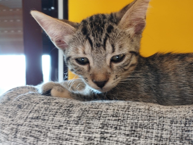 Foto Noelia