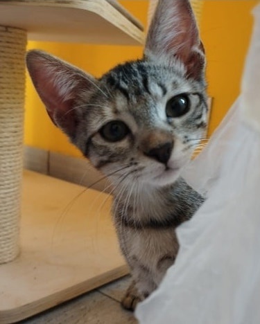 Foto Noelia