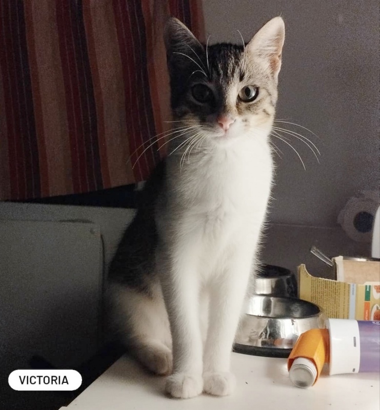 Foto Victoria
