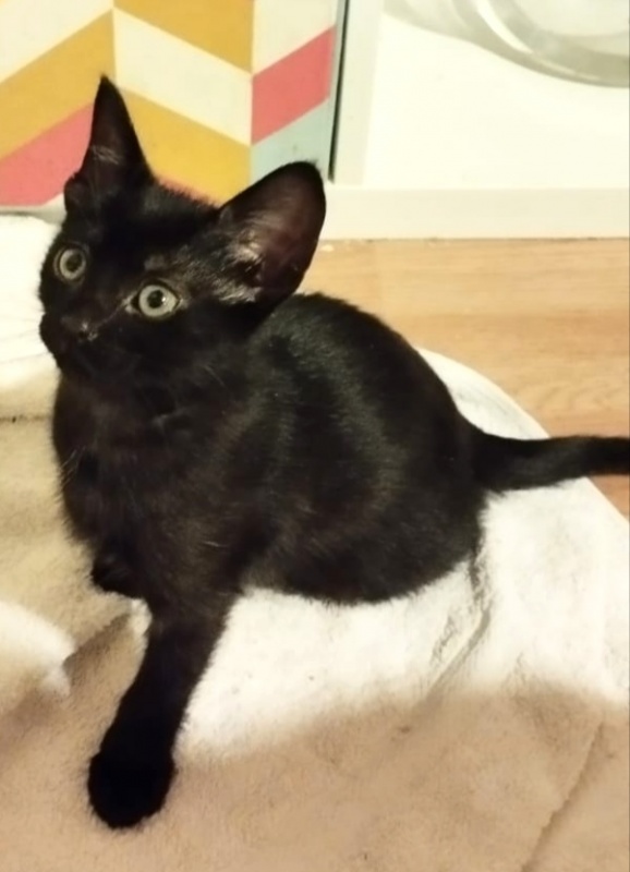 Foto Yuri