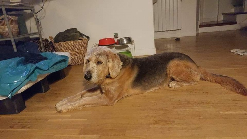 Foto Rolo